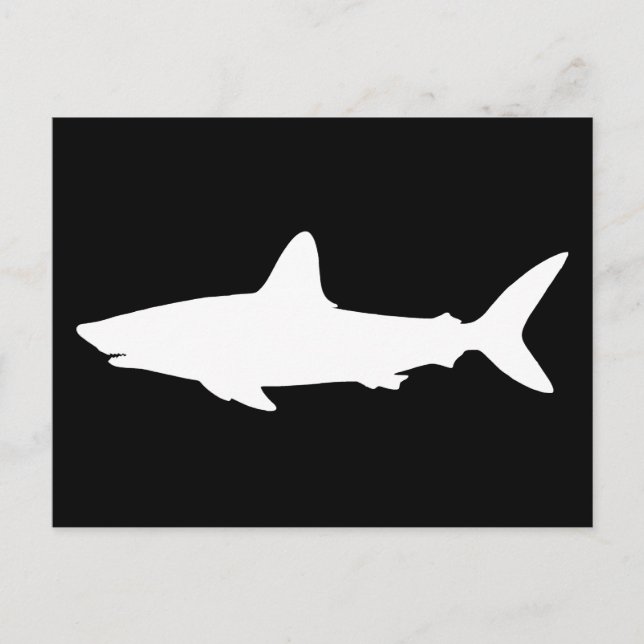 Carte Postale Requin nageant (Devant)