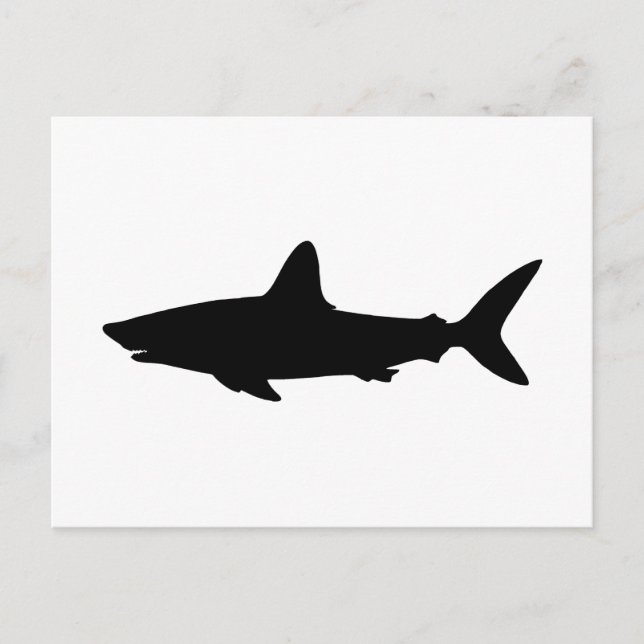 Carte Postale Requin qui Nage (Devant)