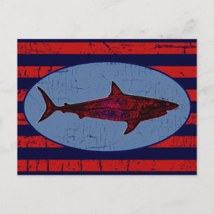 Carte Postale requin rouge & rayures