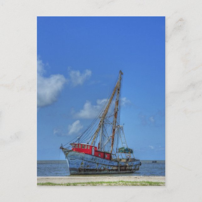 Carte Postale Requin tigre (Devant)