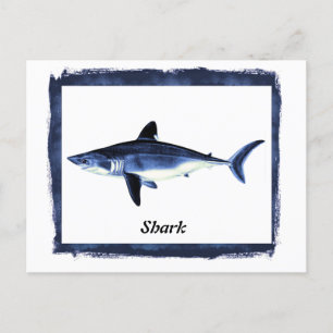Carte Postale Requin vintage en cadre noir