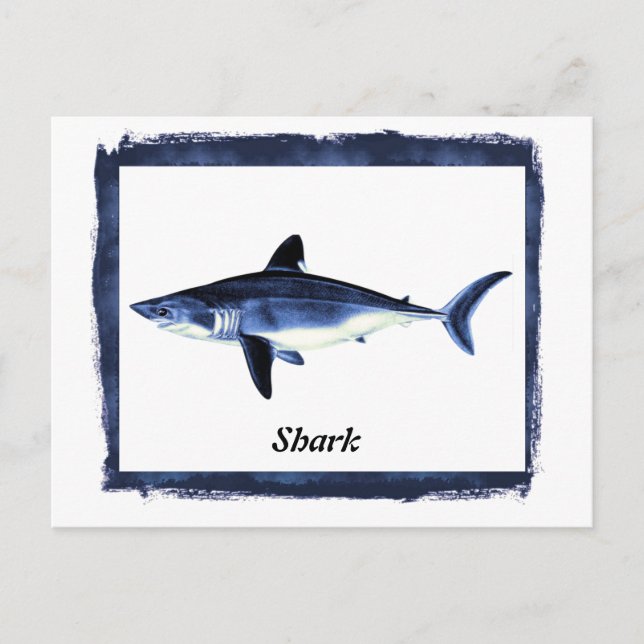 Carte Postale Requin vintage en cadre noir (Devant)