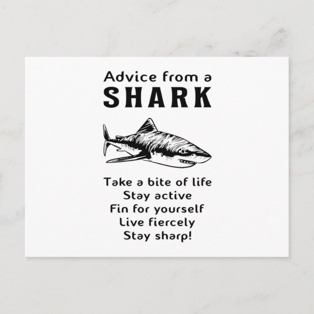 Carte Postale Requins Poisson Mer Ailette De Requin Cool Cadeau  (Devant)