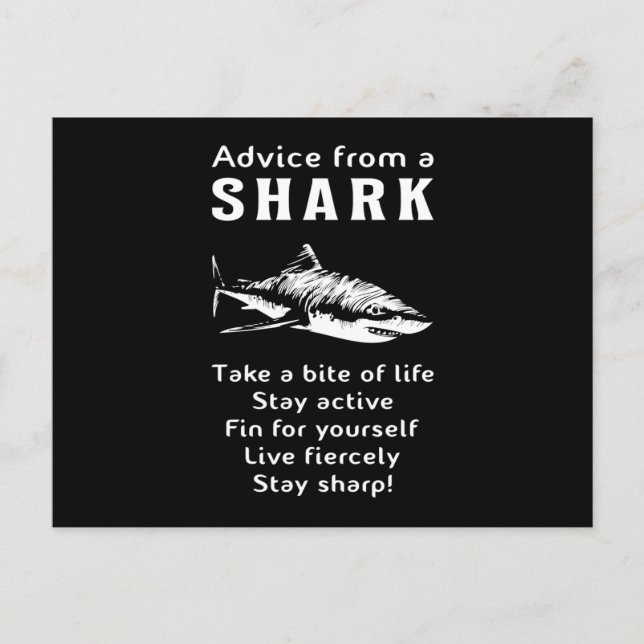 Carte Postale Requins Poisson Mer Ailette De Requin Océan Idée C (Devant)