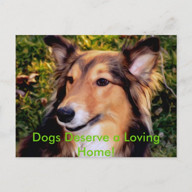 Carte Postale Rescue Dog (Devant)