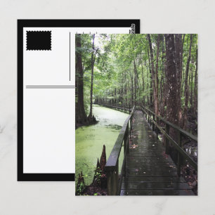 Carte Postale réserve côtière de santee