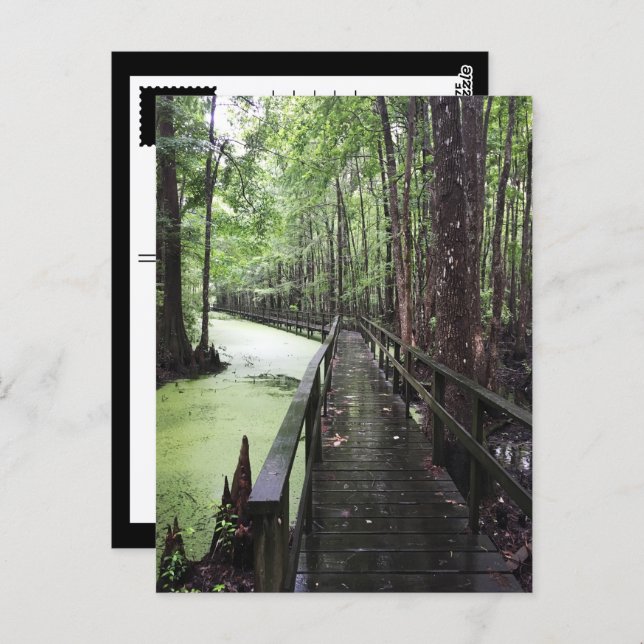 Carte Postale réserve côtière de santee (Devant / Derrière)