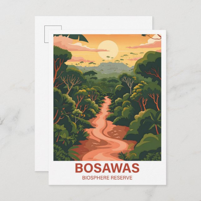 Carte Postale Réserve de biosphère de Bosawas Nicaragua Voyage (Devant / Derrière)