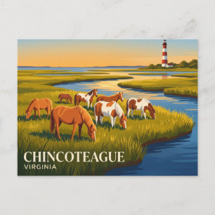 Carte Postale Réserve de faune de Chincoteague USA