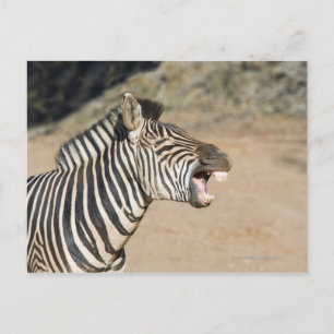 Carte Postale Réserve de jeu de Mkuze, province naturelle de Kwa