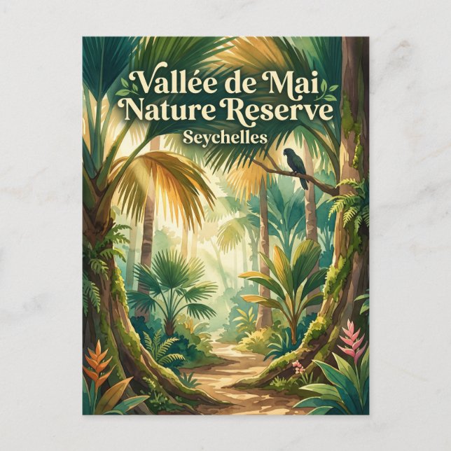 Carte Postale Réserve de Nature de la Vallée de Mai Seychelles (Devant)