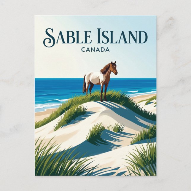 Carte Postale Réserve de parc national de l'Île de Sable Canada (Devant)