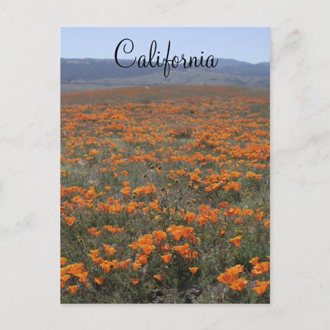 Carte Postale Réserve de pavot (Devant)