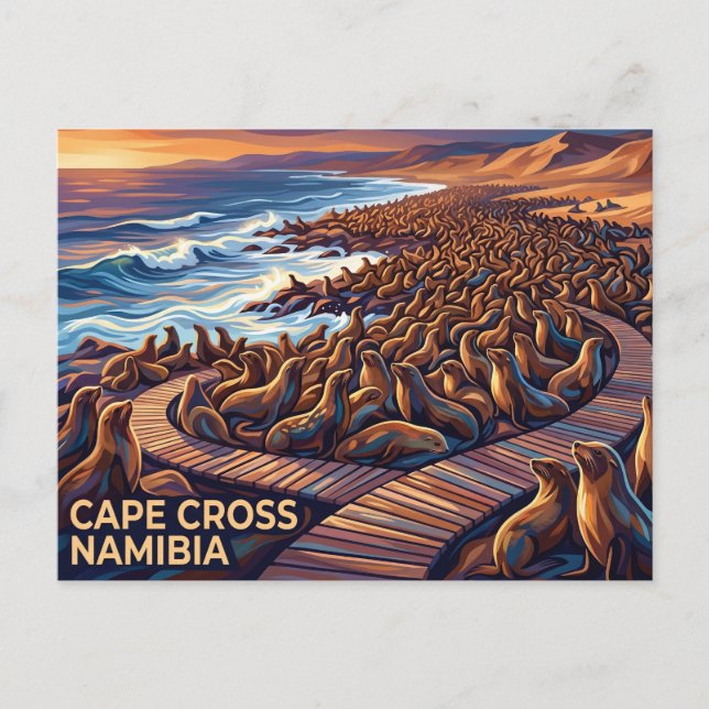 Carte Postale Réserve de phoques de Cape Cross Namibie (Devant)