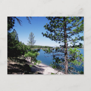 Carte Postale Réserve forestière de Tahoe - la Californie