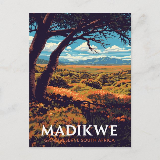 Carte Postale Réserve Madikwe Afrique du Sud (Devant)