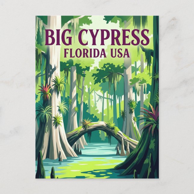 Carte Postale Réserve nationale Big Cypress USA (Devant)