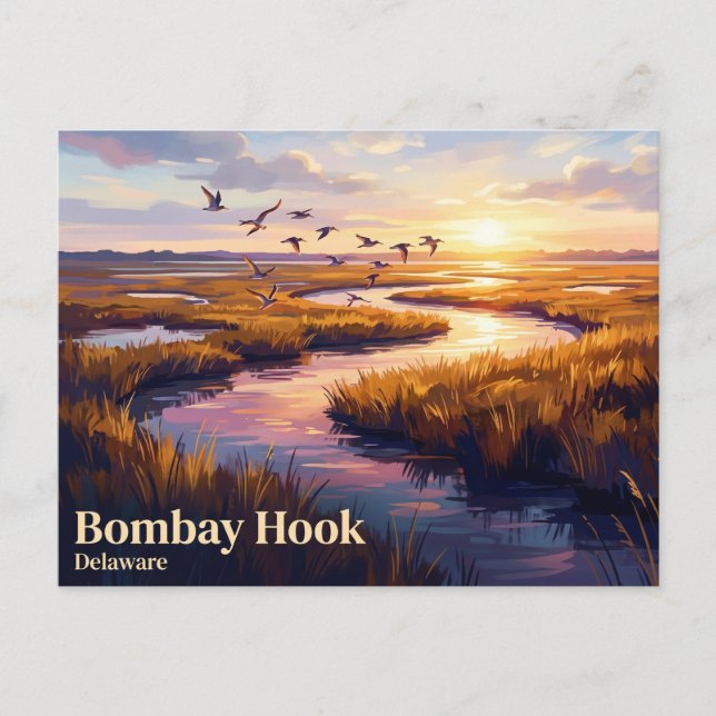 Carte Postale Réserve nationale de faune sauvage de Bombay Hook  (Devant)