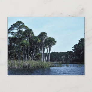 Carte Postale Réserve nationale de faune St. Vincent Eau douce L