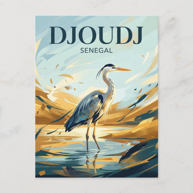 Carte Postale Réserve naturelle de Djoudj Sénégal (Devant)