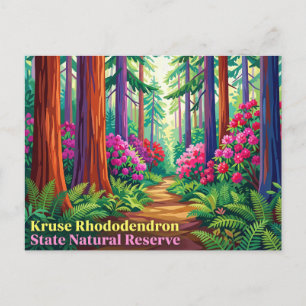 Carte Postale Réserve naturelle d'État de Kruse Rhododendron