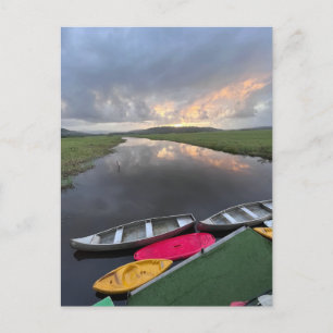 Carte Postale Réserve naturelle du marais de Kaw-Roura - Guyane 