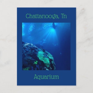 Carte Postale Réservoir de requin à Chattanooga Tennessee
