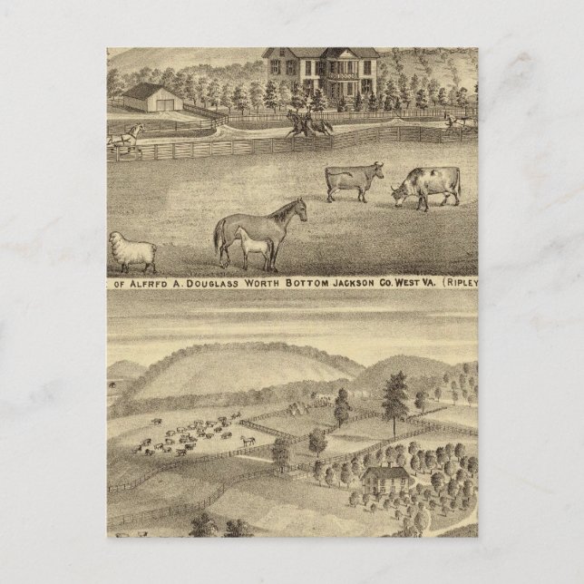 Carte Postale Résidence Alfred A Douglass (Devant)