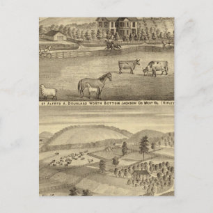 Carte Postale Résidence Alfred A Douglass