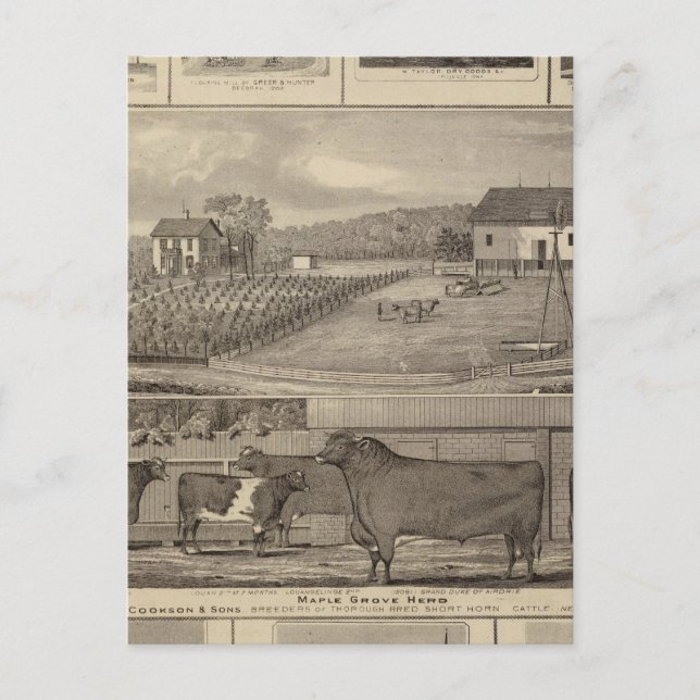 Carte Postale Résidences, bâtiments et églises (Devant)