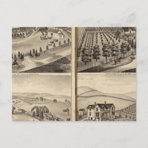 Carte Postale Résidences de John Turner, AC Shelton, H Wilsey