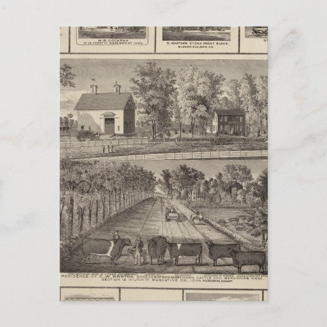 Carte Postale Résidences et entreprises en Muscatine (Devant)