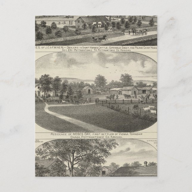 Carte Postale Résidences et fermes, comté de Pottawatomie, Kansa (Devant)
