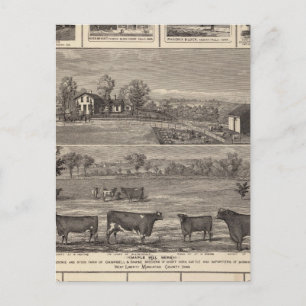 Carte Postale Résidences, ferme, entreprises en W Liberty, Ackle