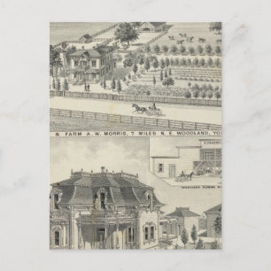 Carte Postale Résidences forestières, fermes