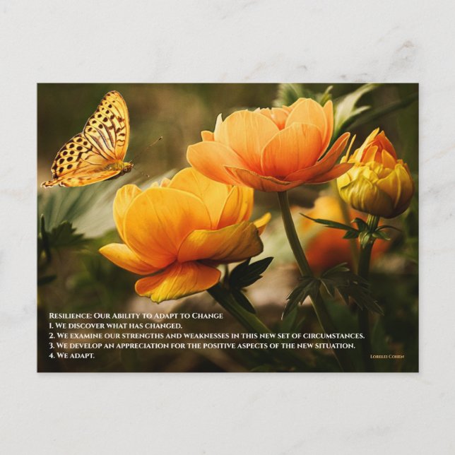 Carte Postale Résilience : Notre capacité à nous adapter au chan (Devant)