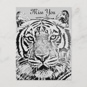 Carte Postale résistance du tigre_