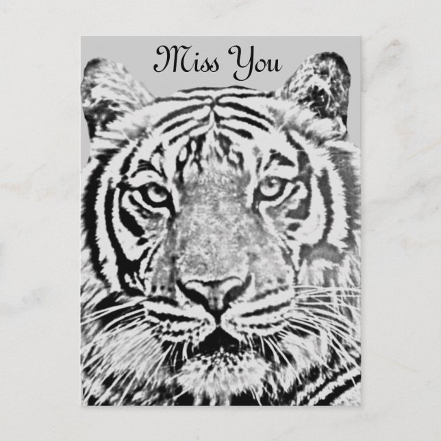 Carte Postale résistance du tigre_ (Devant)