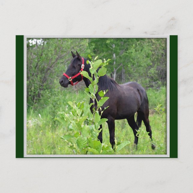 Carte Postale Respiré (Devant)