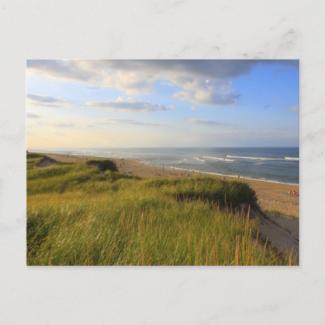 Carte Postale Responsable du Meadow Beach Truro Cape Cod (Devant)