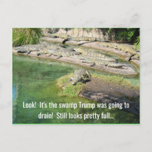 Carte Postale Ressemble au marais assez plein