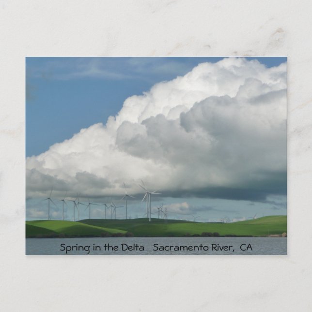 Carte Postale Ressort dans le delta (Devant)