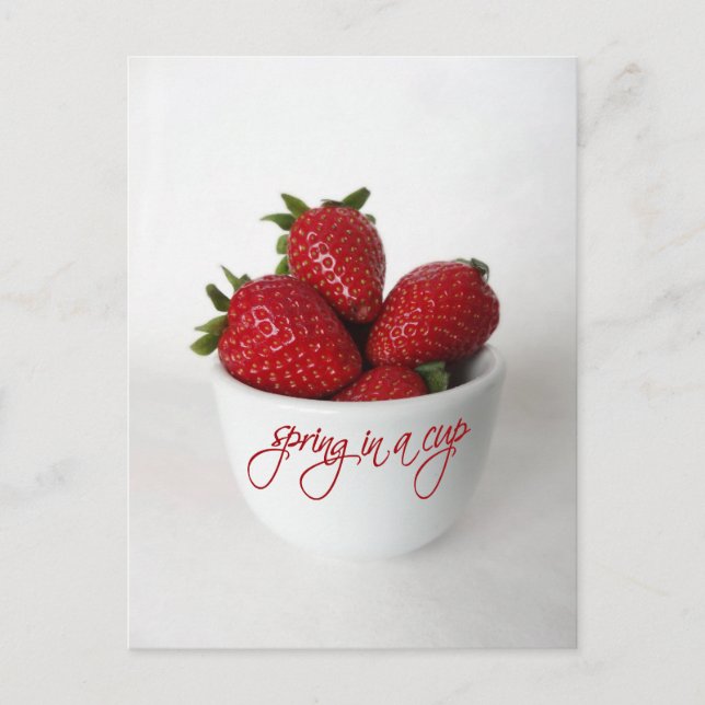 Carte Postale ressort dans une tasse (Devant)