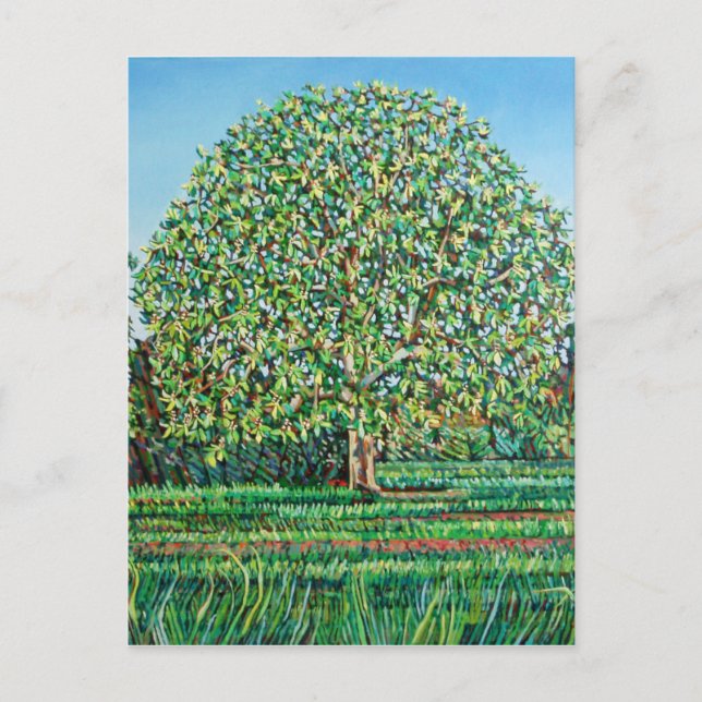 Carte Postale Ressort de l'arbre du fond (Devant)