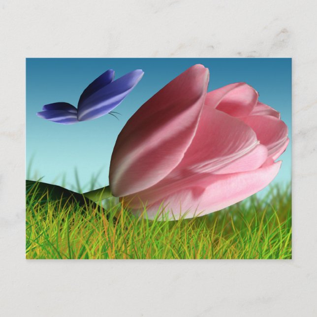 Carte Postale Ressort Tulipe Et Papillon (Devant)