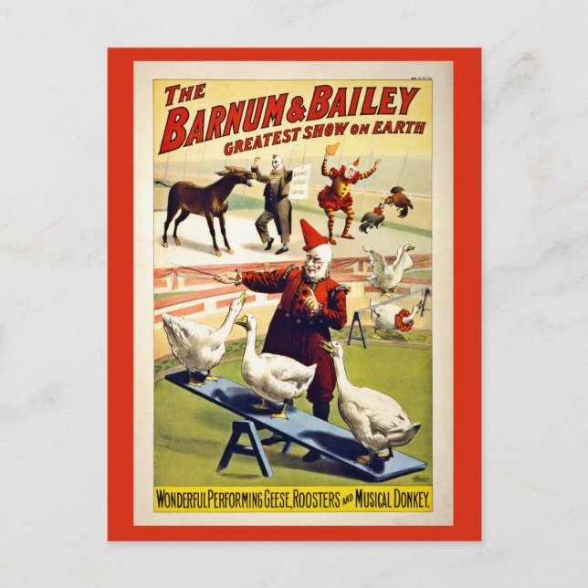 Carte Postale Restauré, Barnum et Bailey, oies et âne (Devant)