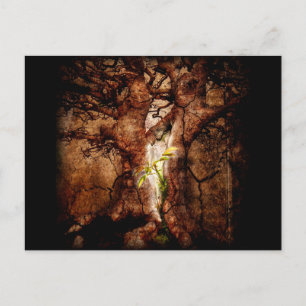 Carte Postale Restaurer les années de désolation