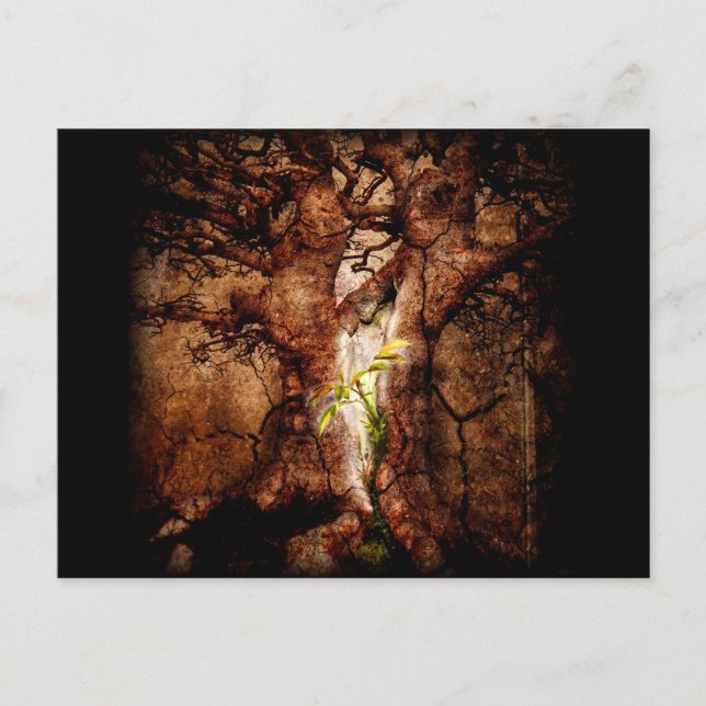 Carte Postale Restaurer les années de désolation (Devant)