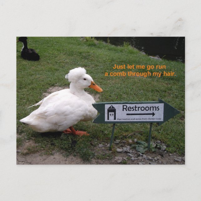 Carte Postale Reste Room Duck (Devant)
