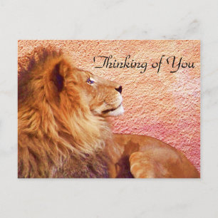 Carte Postale Rester concentré_